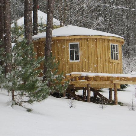 La Maison Sous Les Arbres Saint Roch de Mekinac Екстериор снимка