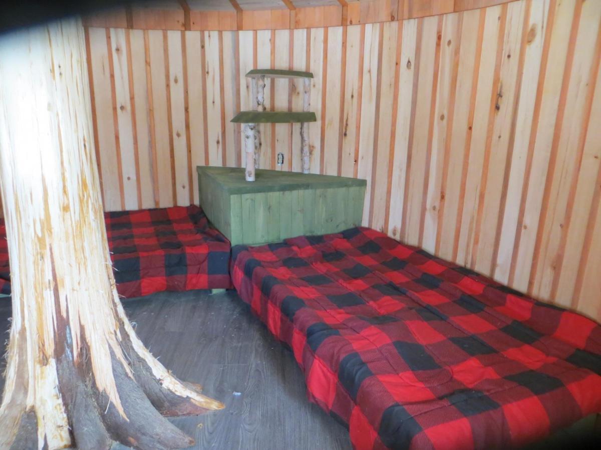 La Maison Sous Les Arbres Saint Roch de Mekinac Екстериор снимка