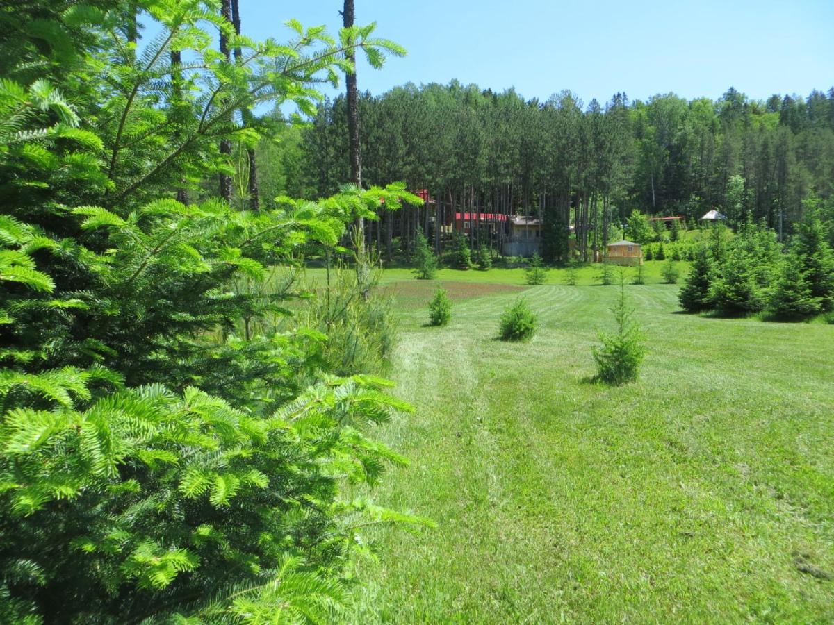 La Maison Sous Les Arbres Saint Roch de Mekinac Екстериор снимка