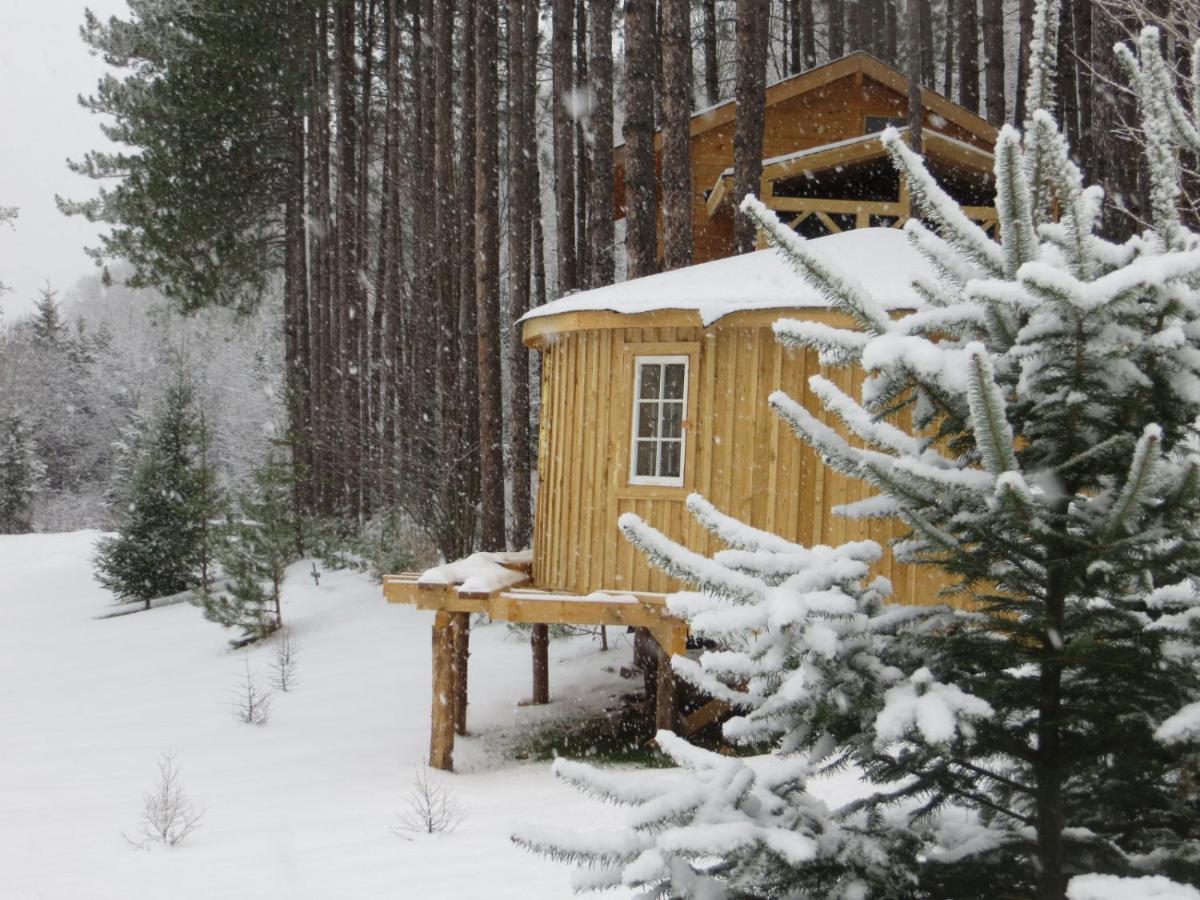 La Maison Sous Les Arbres Saint Roch de Mekinac Екстериор снимка