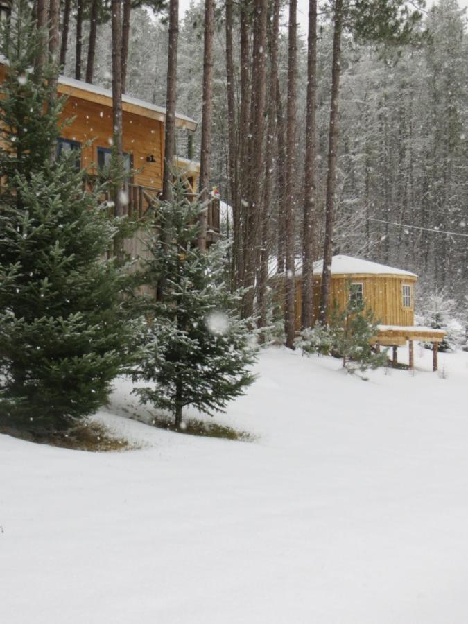 La Maison Sous Les Arbres Saint Roch de Mekinac Екстериор снимка